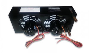 Back view of double fans